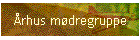 rhus mdregruppe