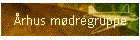 rhus mdregruppe