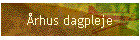 rhus dagpleje