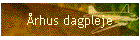 Århus dagpleje