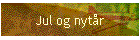 Jul og nytr