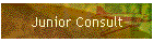 Junior Consult
